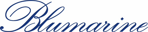 Історія бренду   компанія   Blumarine   з'явилася в 1977 році